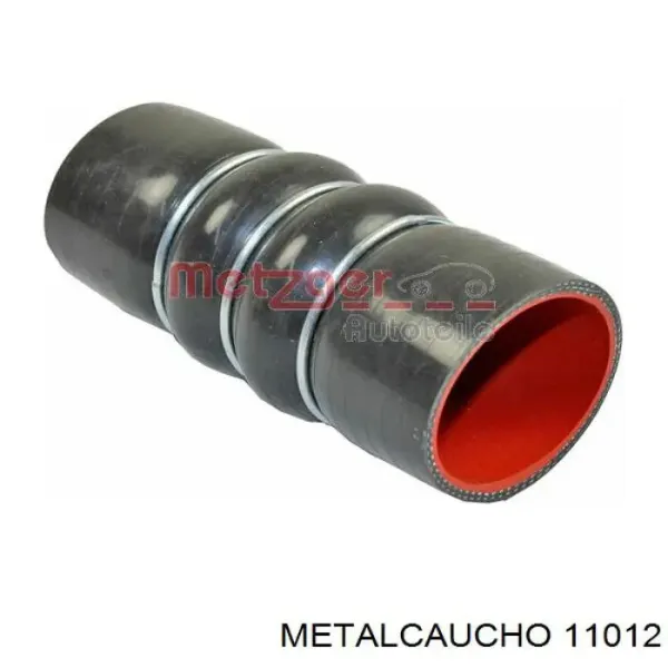 10012 Metalcaucho