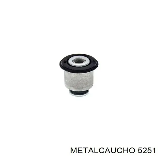 Varilla de aceite 5251 Metalcaucho