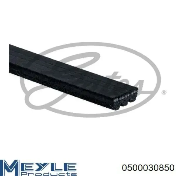 Correa de alternador 3PK850 Dongil