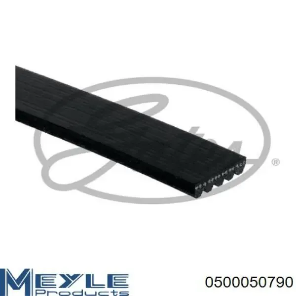 Correa de alternador 5PK785 Continental/Siemens