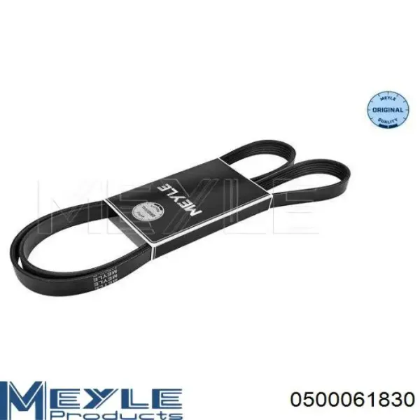 Correa de alternador 55577914 Peugeot/Citroen