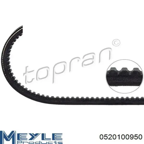 Correa de alternador 10A0950GL Dayco