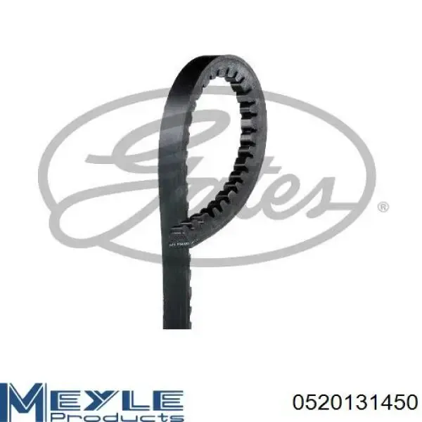 Correa de alternador 13A1450GL Dayco