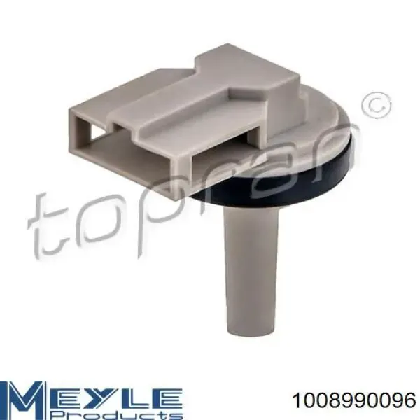 B11447 Borsehung