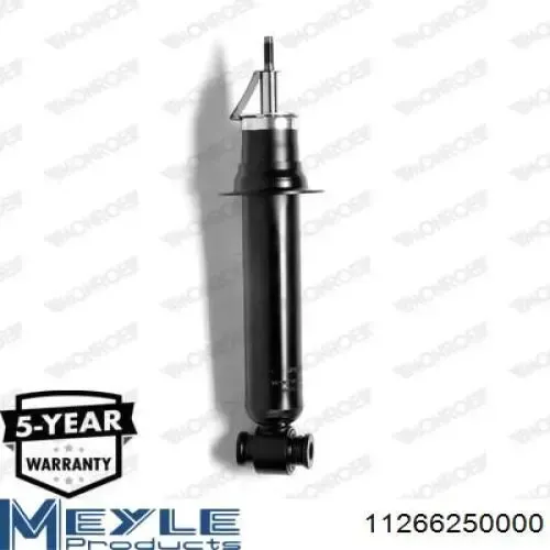 Amortiguador RS313562 Raiso