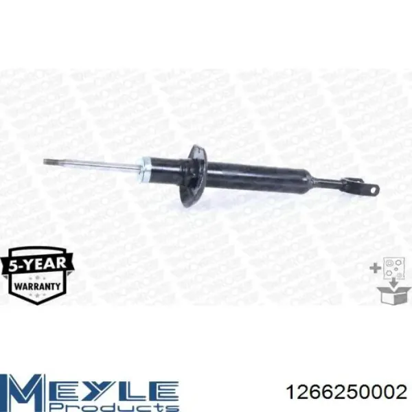 Amortiguador RS170811 Raiso