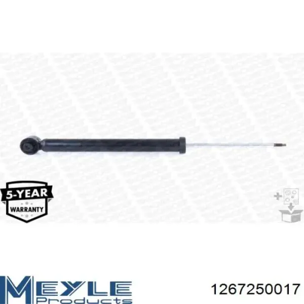 Amortiguador trasero RS318202 Raiso
