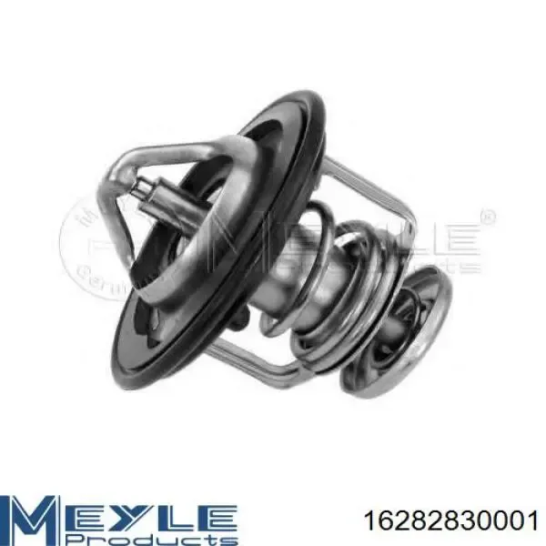 Termostato 5010295225 Renault (RVI)