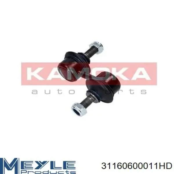 RL513204H Raiso