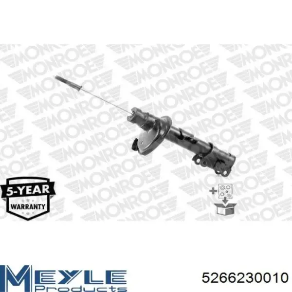 Amortiguador RS314125 Raiso