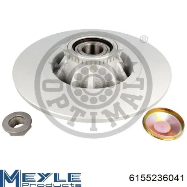 Disco de freno trasero Renault Trafic 2 FL