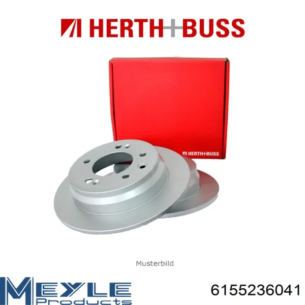 Disco de freno trasero Renault Trafic 2 FL