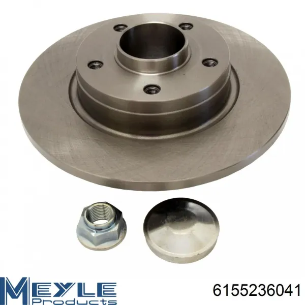 Disco de freno trasero Renault Trafic 2 FL