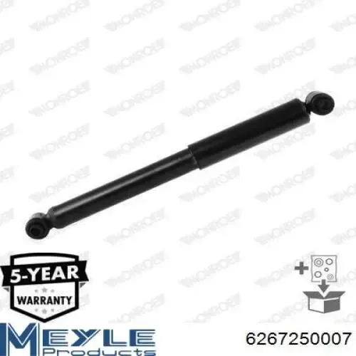 Amortiguador trasero RS317335 Raiso