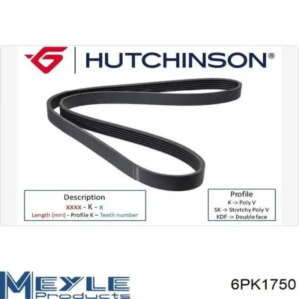 Correa trapezoidal Volkswagen LT 2DB, 2DE, 2DK