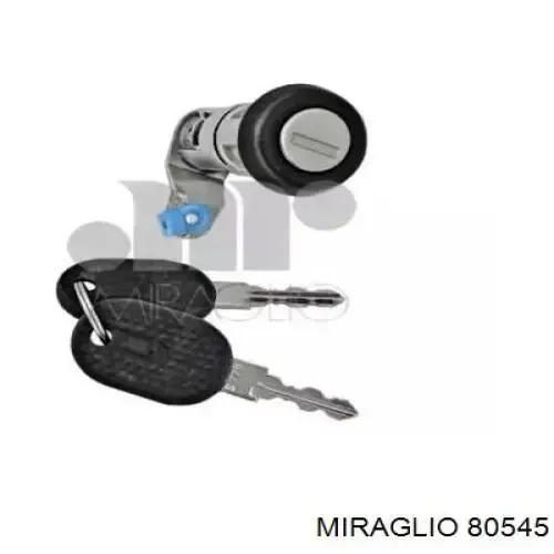 Cilindro de cerradura de la puerta delantera derecha GP500328054 GP