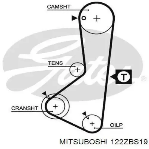 Correa distribución 122ZBS19 Mitsuboshi