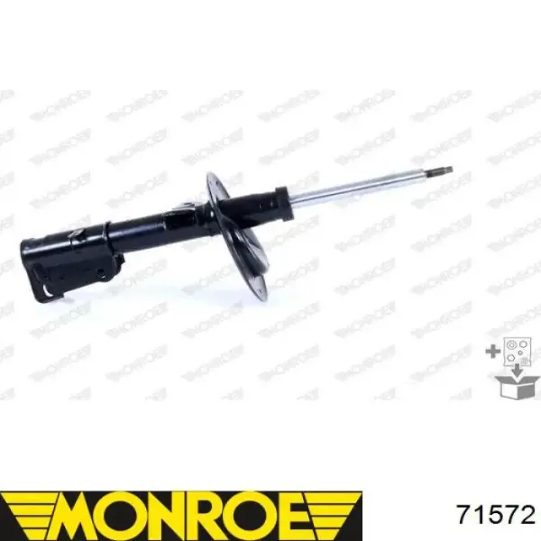 Amortiguador RS310202 Raiso