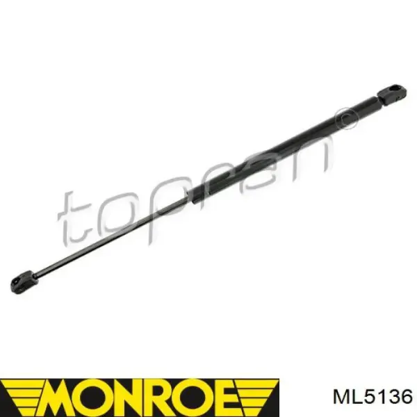 1025425 Rover