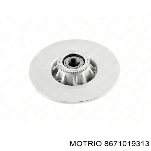 Disco de freno trasero Renault Trafic 2 FL