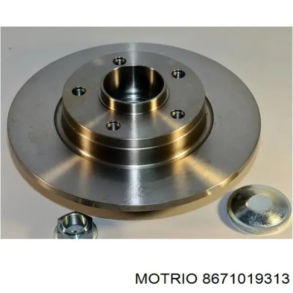 Disco de freno trasero Renault Trafic 2 FL