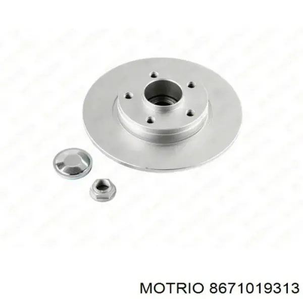 Disco de freno trasero Renault Trafic 2 FL