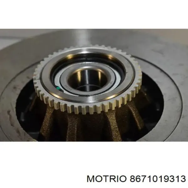 Disco de freno trasero Renault Trafic 2 FL