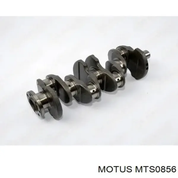 Cigüeñal MTS0856 Motus