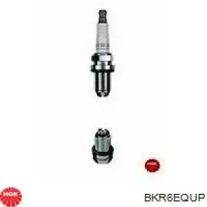 SKSP1990005 Market (OEM)