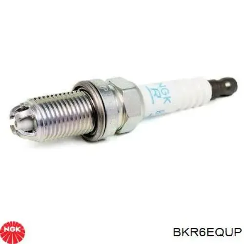 SKSP1990005 Market (OEM)