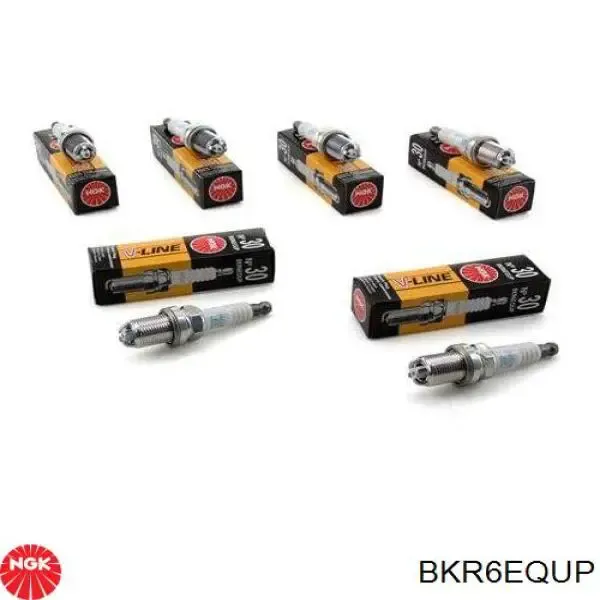 SKSP1990005 Market (OEM)
