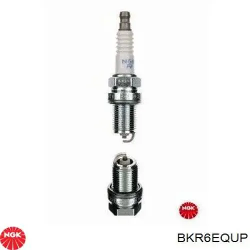 SKSP1990005 Market (OEM)