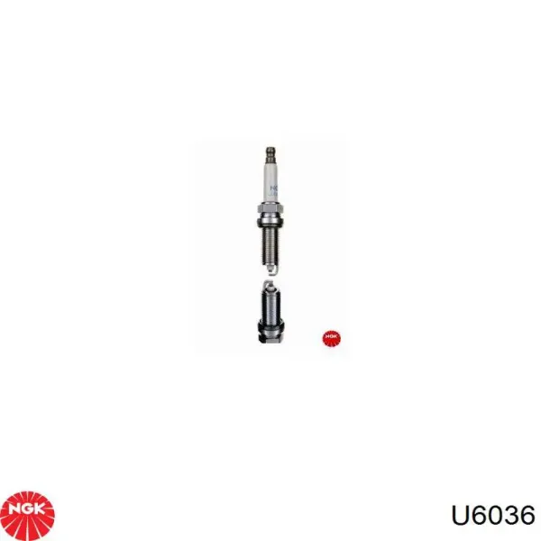 Bobina U6036 NGK