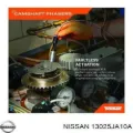 Rueda dentada del árbol de levas de admisión Nissan Murano Z51