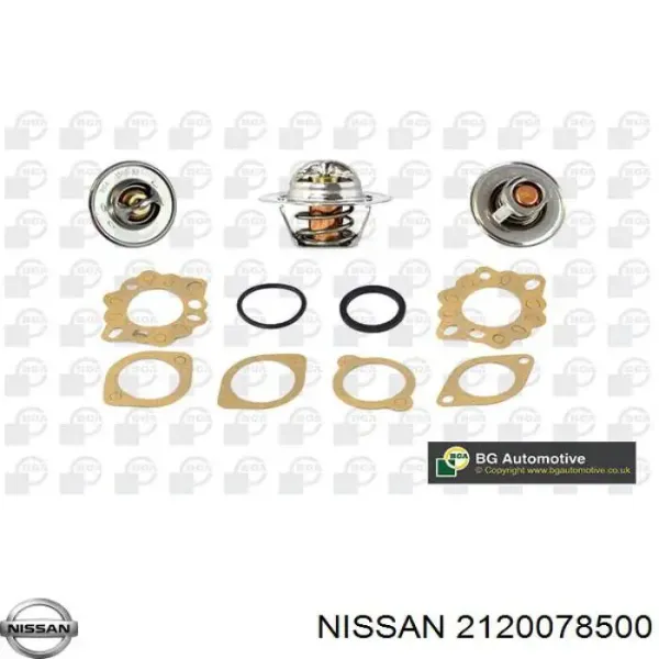 Nissan Trade