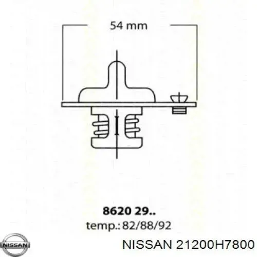 Nissan Trade