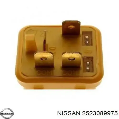  2523089977 Nissan/Infiniti