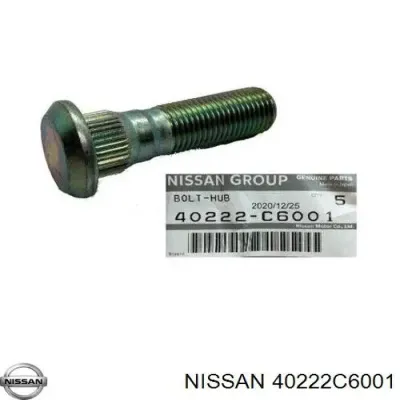 Tornillo de cubo NISSAN 40222C6001