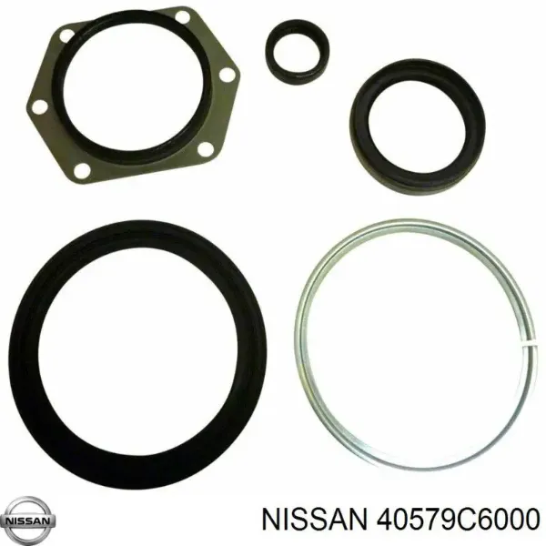 Retén del muñón de dirección delantero 40579C6000 Nissan/Infiniti