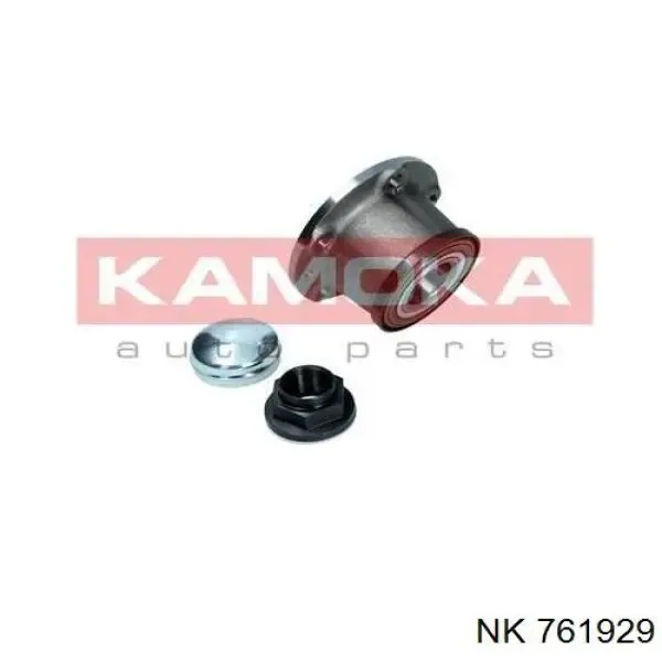 Cubo de rueda trasero Fiat Ducato 3 250