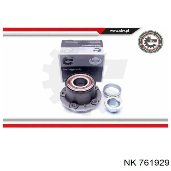 Cubo de rueda trasero Fiat Ducato 3 250
