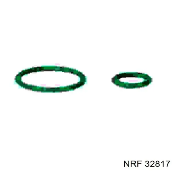 Compresor de aire acondicionado 32817G NRF