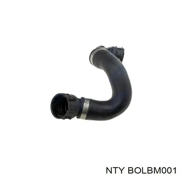 BOLBM001 NTY