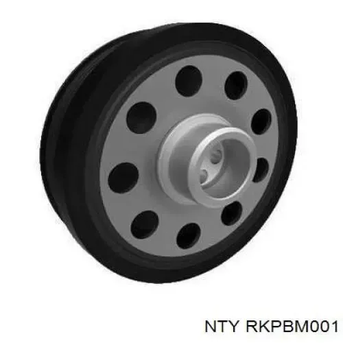 RKPBM001 NTY