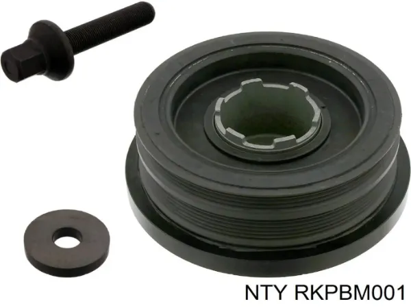 RKPBM001 NTY