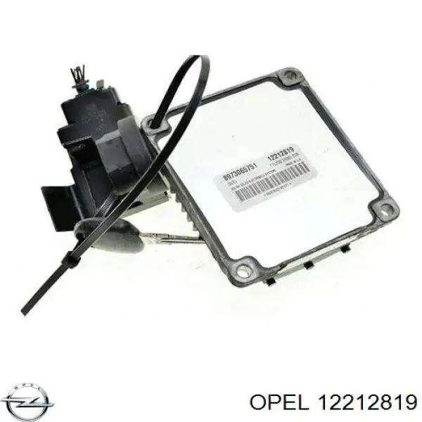 ECU 12212819 General Motors