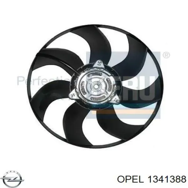 OL7671 AVA