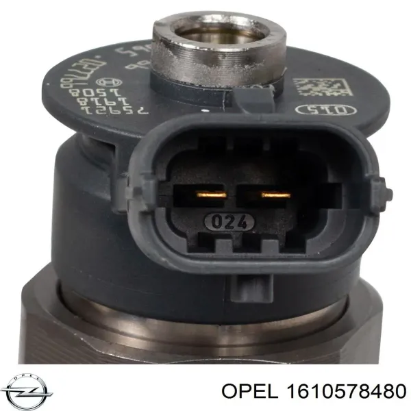 Inyector 1610578480 Peugeot/Citroen