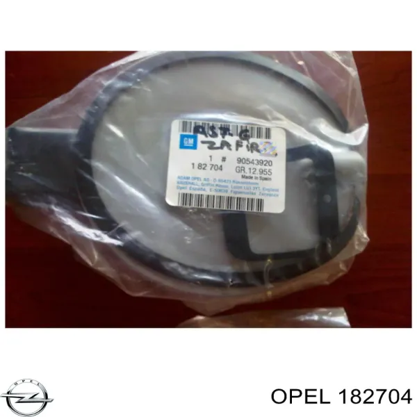 Tapa de la gasolina FP5051520 FPS