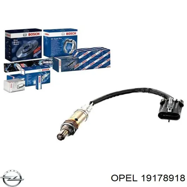 V40760019 Vemo